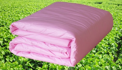 你应该来了解的桐乡蚕丝被