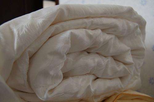 辩一辩蚕丝真伪