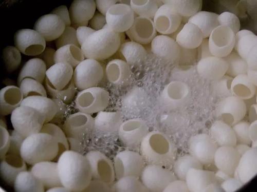 蚕茧分类有哪些呢？你都知道吗？